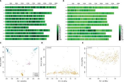 Uncovering Candidate Genes Controlling Major Fruit-Related Traits in Pepper via Genotype-by-Sequencing Based QTL Mapping and Genome-Wide Association Study